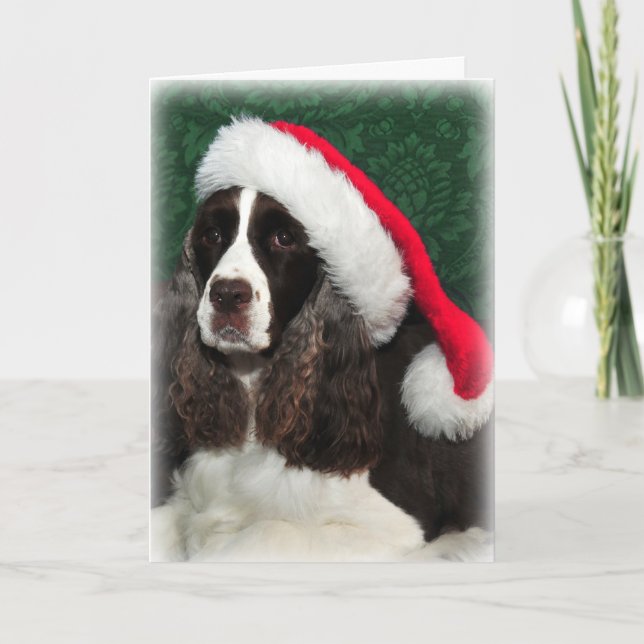 Festividades Cartão de Natal Springer Spaniel (Frente)
