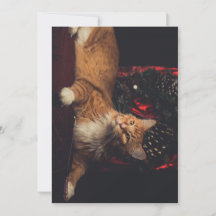 Cartão de Natal Tarzan V1