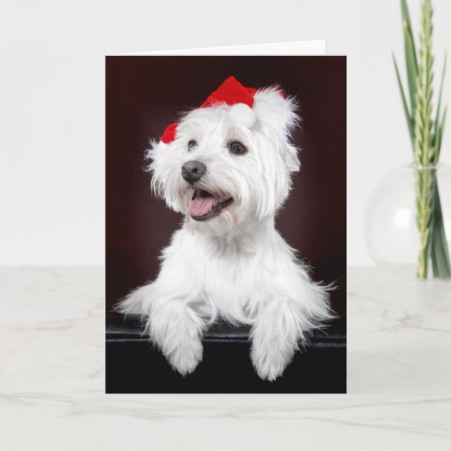 Festividades Cartão de Natal Terrier White West Highland (Frente)