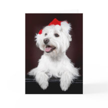 Cartão de Natal Terrier White West Highland