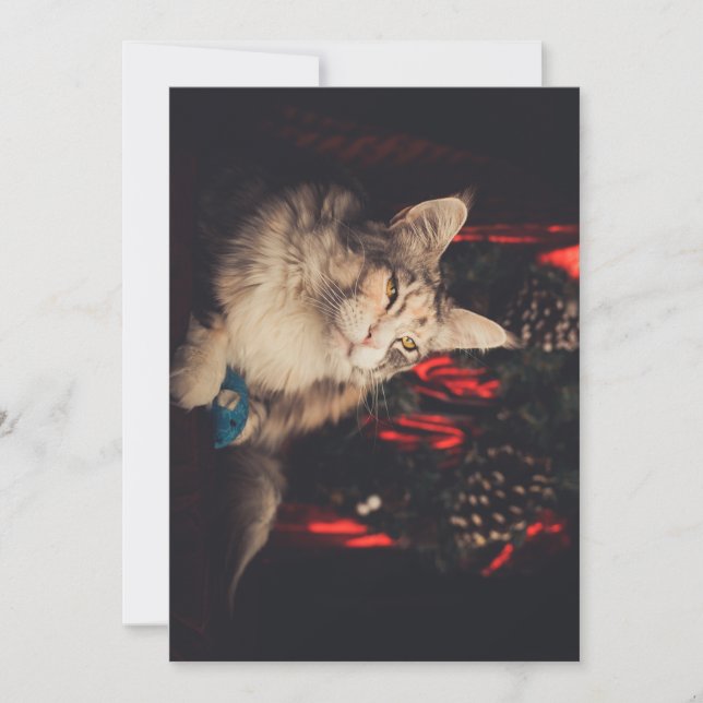 Festividades Cartão de Natal Titiyo V3 (Frente)