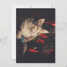 Cartão de Natal Titiyo V3