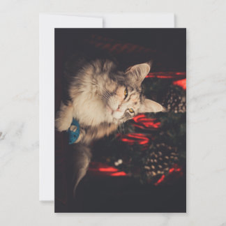 Festividades Cartão de Natal Titiyo V3