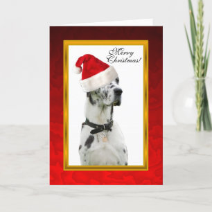 Festividades Cartão de Natal vermelho do cão de Dalmation