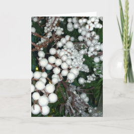 Festividades Cartão de Natal White Cranberry