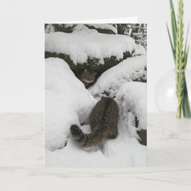 Festividades Cartão de Natal - Wildcat escocês 7 (Frente)