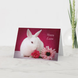 Festividades Cartão de páscoa
