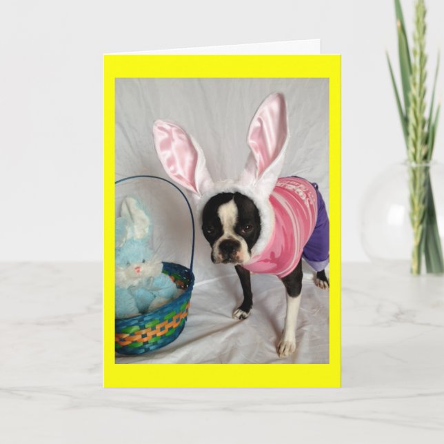 Festividades Cartão de páscoa com Boston Terrier Bunny (Frente)