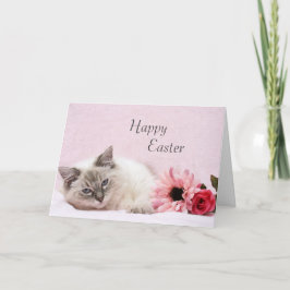 Festividades Cartão de páscoa de Ragdoll