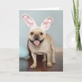 Festividades Cartão de páscoa do buldogue francês!