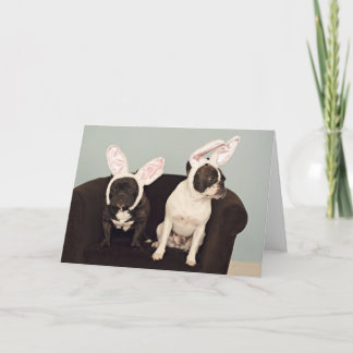 Festividades Cartão de páscoa do buldogue francês!