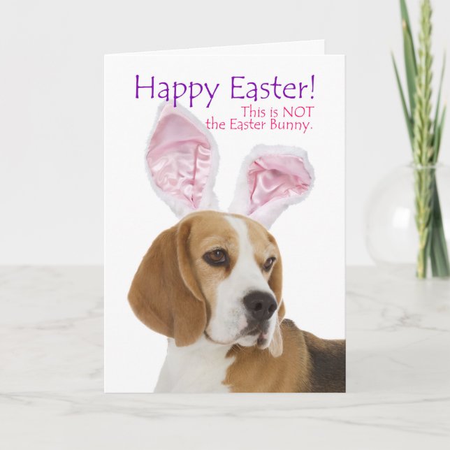 Festividades Cartão de Páscoa Engraçado de Beagle (Frente)