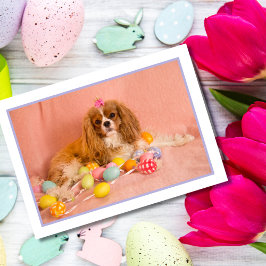 Festividades Cartão de Páscoa para Filhote de Cavalier King Cha