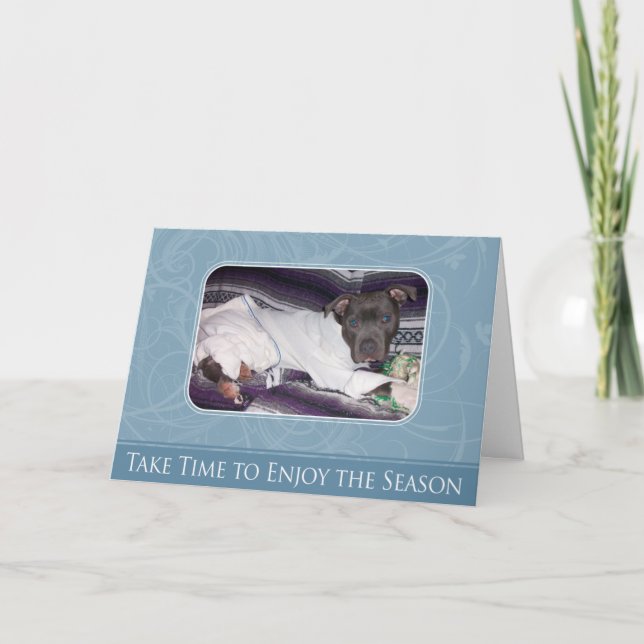 Festividades Cartão de Pitbull do feriado (Frente)