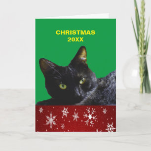 Festividades Cartão de Saudação 20XX de Gato Preto