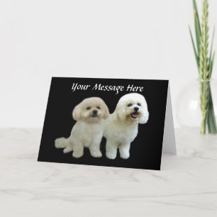 Festividades Cartão de Saudação Bichon Buddies