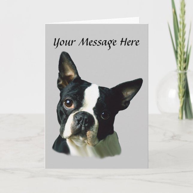 Festividades Cartão de Saudação Boston Terrier (Frente)