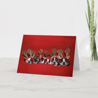 Festividades Cartão de Saudação Boston Terrier Reindeer