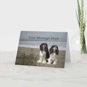 Festividades Cartão de Saudação Cavalier King Charles Spaniel