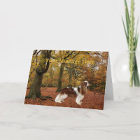 Cartão de Saudação Cavalier King Charles Spaniel