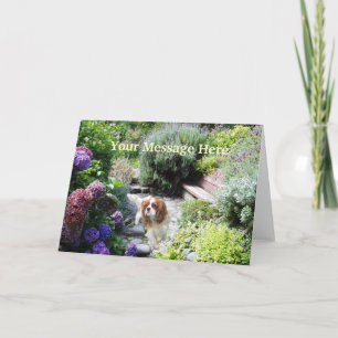 Festividades Cartão de Saudação Cavalier King Charles Spaniel