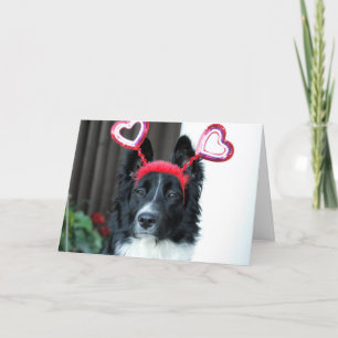 Festividades Cartão de Saudação Collie de Borda do namorados