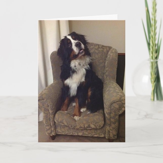 Festividades Cartão de saudação da Nação Berner (Frente)