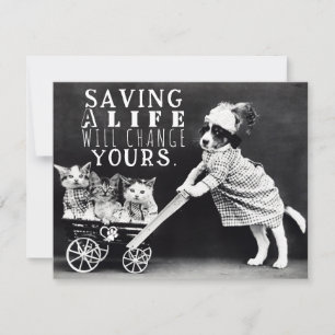 Festividades Cartão de Saudação de Adoção e Salvamento de Cães 
