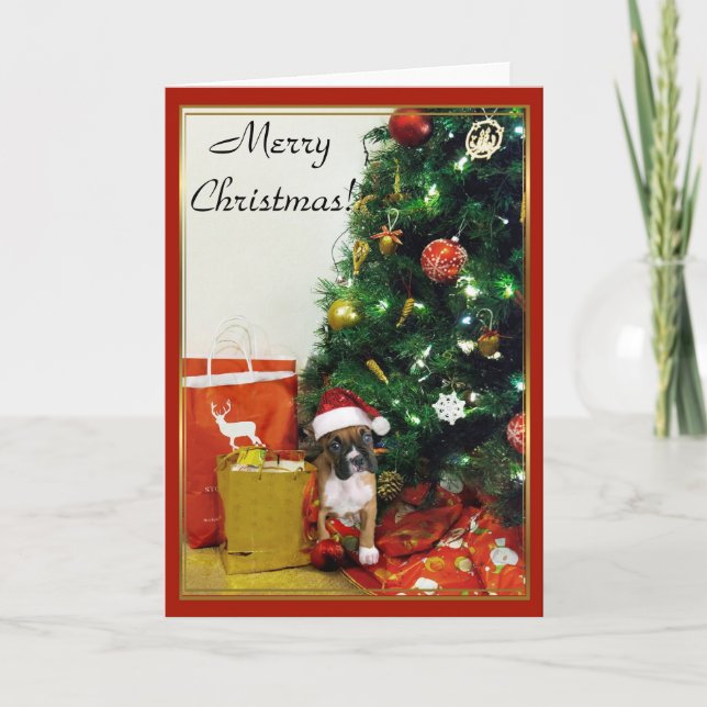 Festividades Cartão de saudação de boxe Feliz de Natal (Frente)