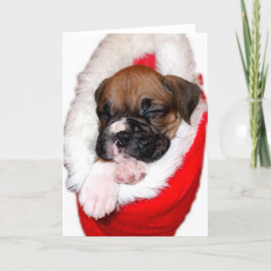 Festividades Cartão de saudação de cachorrinho de boxe de Natal