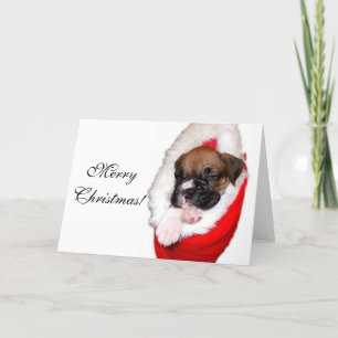 Festividades Cartão de saudação de cachorrinho de Natal