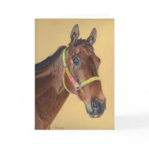 Cartão de Saudação de Cavalo Puro-Sangue