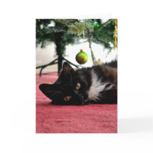 Cartão de Saudação de Gato de Natal