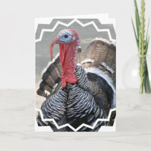 Festividades Cartão de Saudação de Imagem de Turquia Selvagem