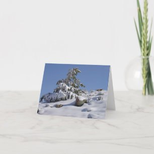 Festividades Cartão de Saudação de Inverno