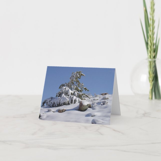 Festividades Cartão de Saudação de Inverno (Frente)