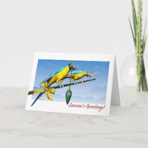 Festividades Cartão de Saudação de Macaw Parrot Ornaments Seaso