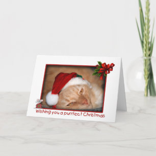 Festividades Cartão de Saudação de Natal Cat Santa Hat