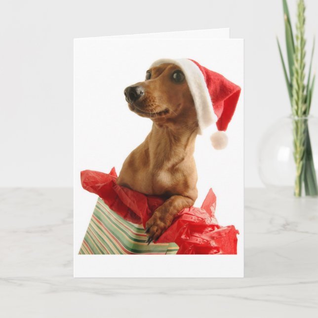 Festividades Cartão de Saudação de Natal Dachshund (Frente)