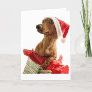 Festividades Cartão de Saudação de Natal Dachshund