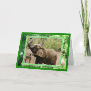 Festividades Cartão de Saudação de Natal de Elefante Africano