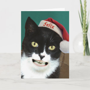 Festividades Cartão de Saudação de Natal de Gato Engraçado