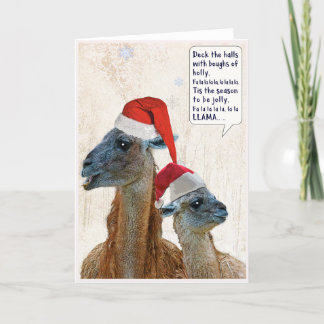 Festividades Cartão de Saudação de Natal Llama Decaje As Câmara
