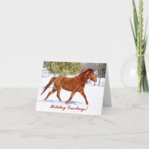 Festividades Cartão de Saudação de Natal para Horse de Winter B