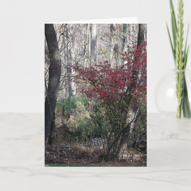 Festividades cartão de saudação de nota de feriado (Frente)