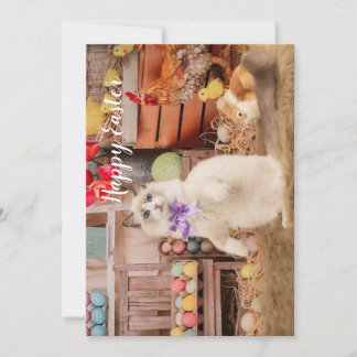 Festividades Cartão de Saudação de Páscoa Ragdoll Cat