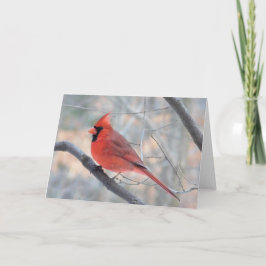 Festividades Cartão de Saudação de Perfil de Creek Cardinal