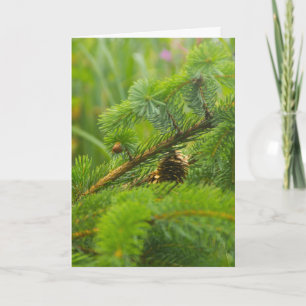 Festividades Cartão de Saudação de Pine Cone Oculto