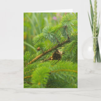 Festividades Cartão de Saudação de Pine Cone Oculto