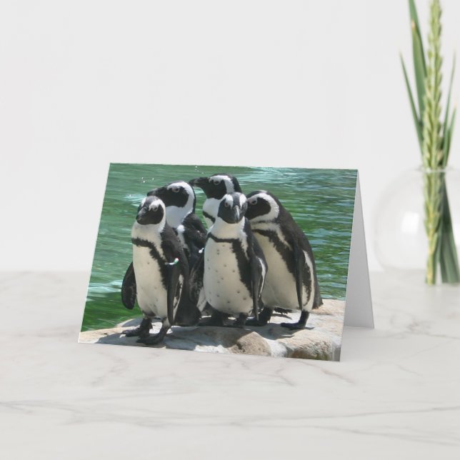 Festividades Cartão de saudação de pinguins (Frente)